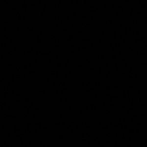 Meet your Posher, Conley